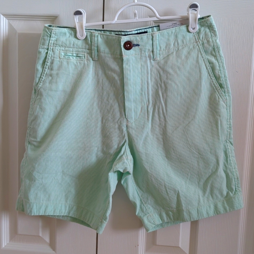 AMERICAN EAGLE OUTFITTERS Men's Shorts